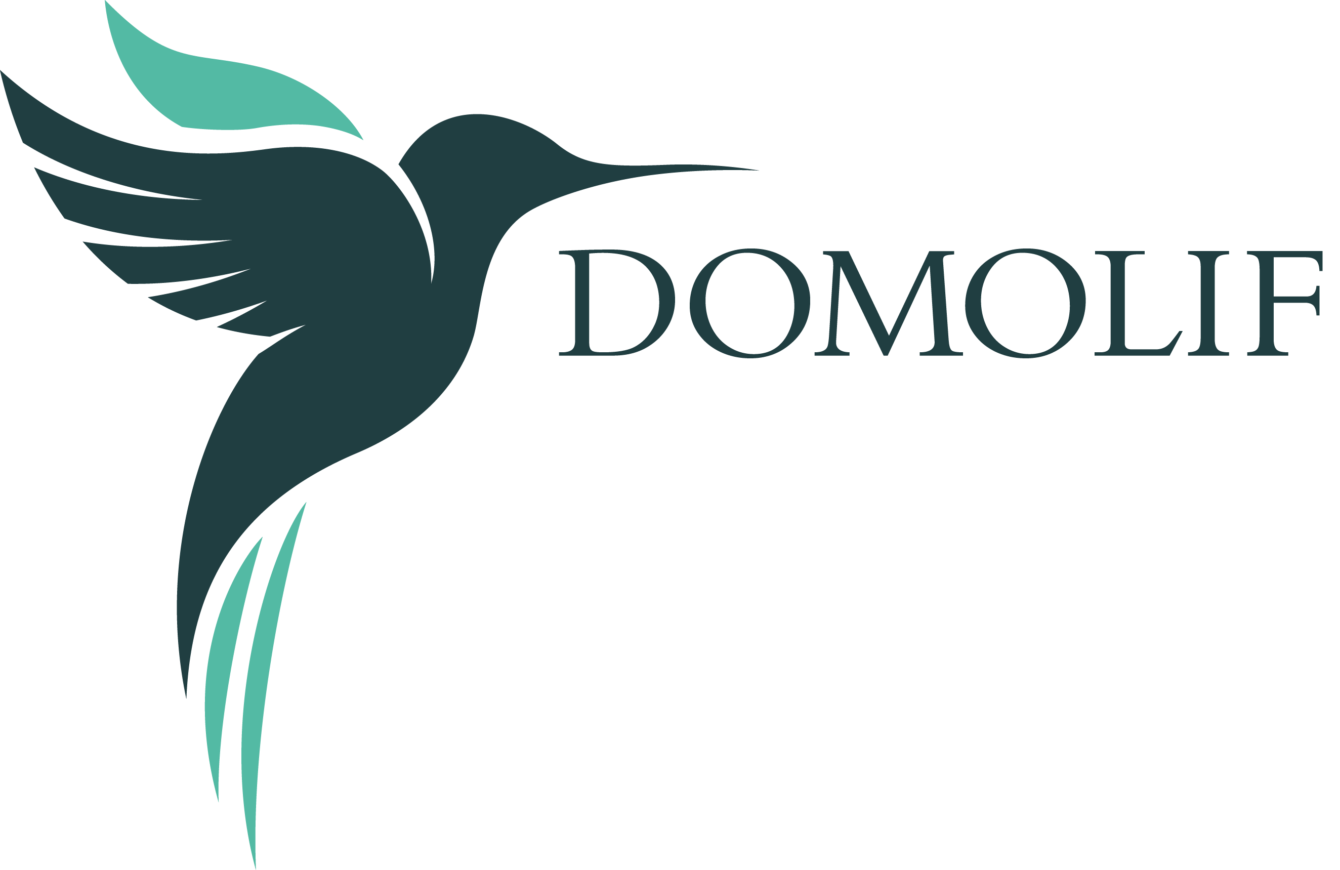 logo-domolif