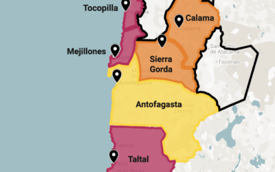 Domolif lanza convocatoria regional para voluntarios en innovadora investigación sobre microbiota intestinal